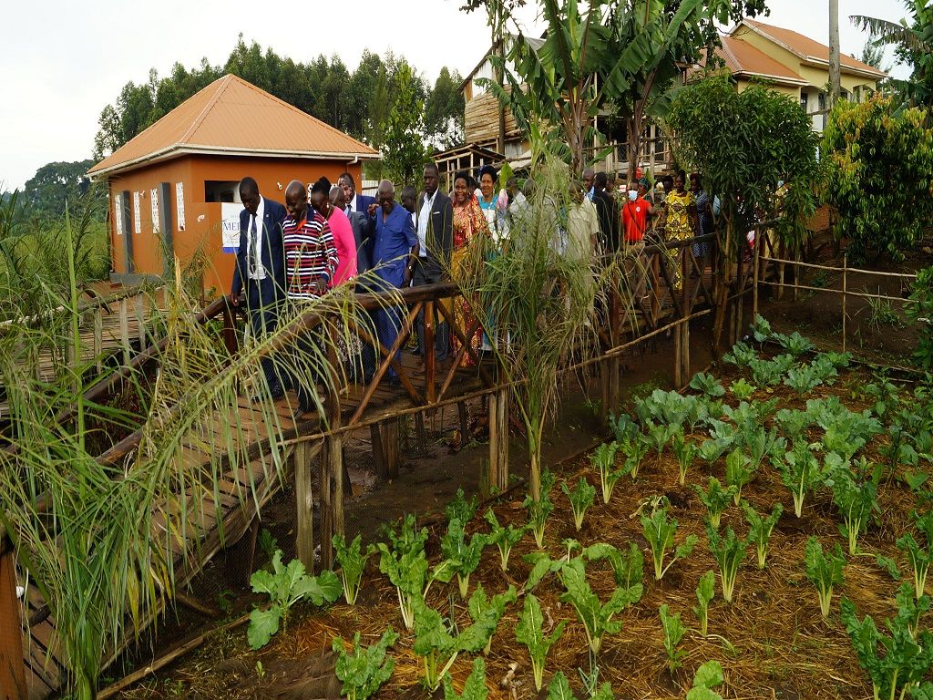 Merina Farming